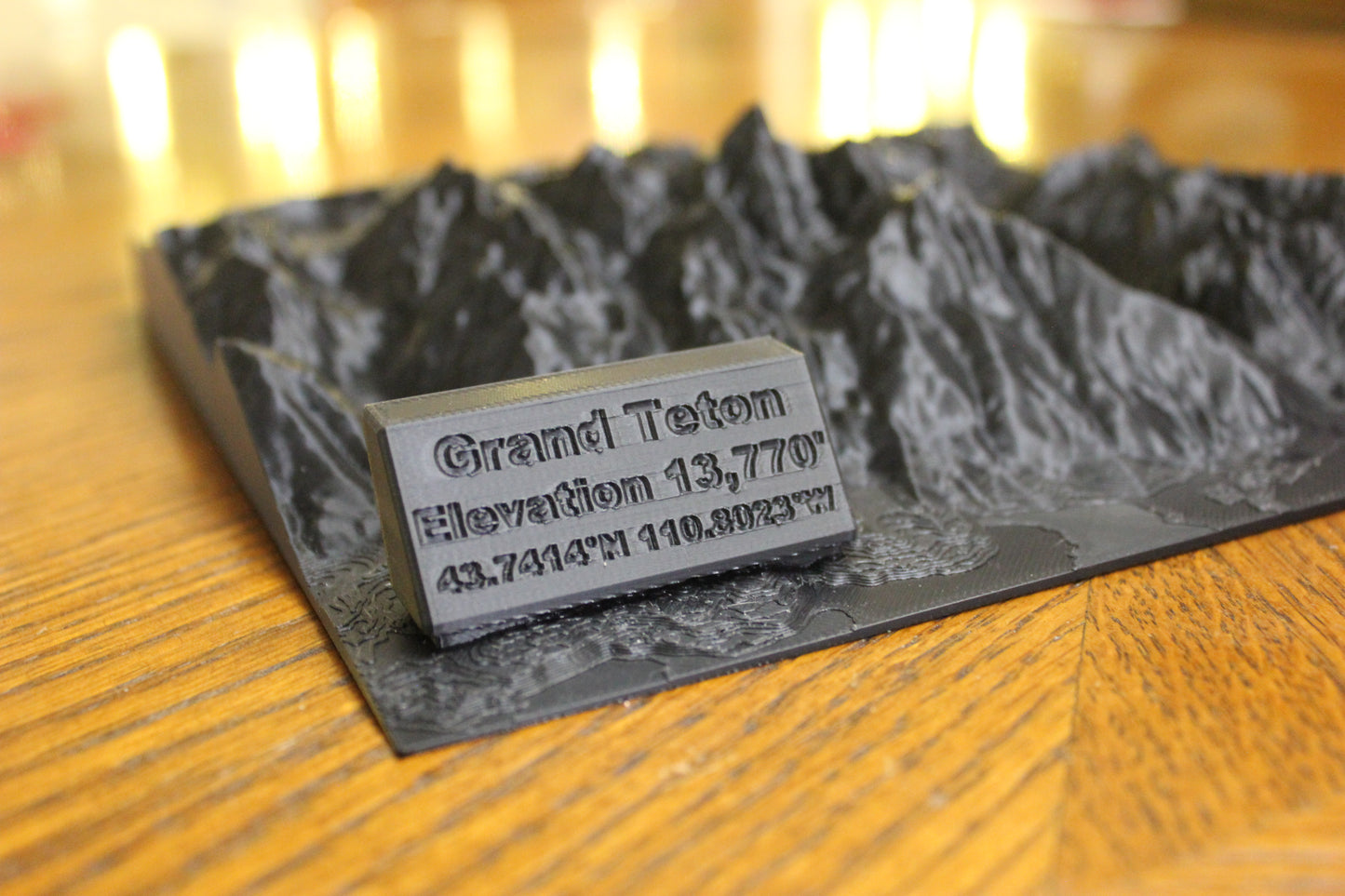 3D Printed Topographical Display