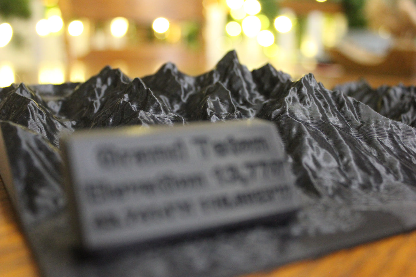 3D Printed Topographical Display