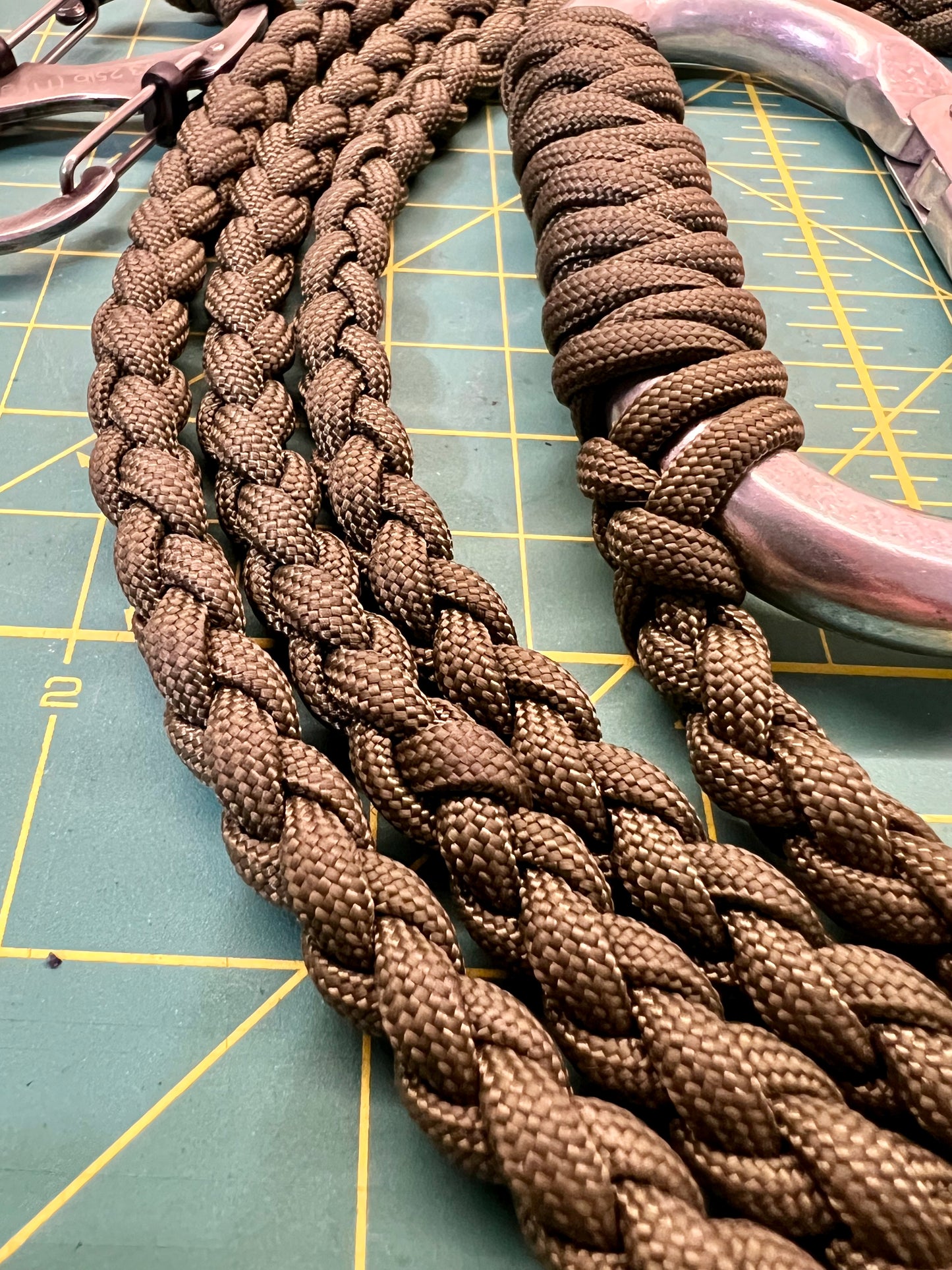 Braided Dog Leash